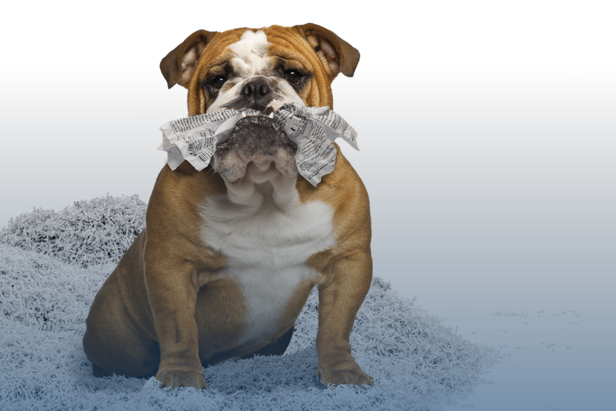 Fellowes-The-World's-Toughest-Document-Shredders-USA